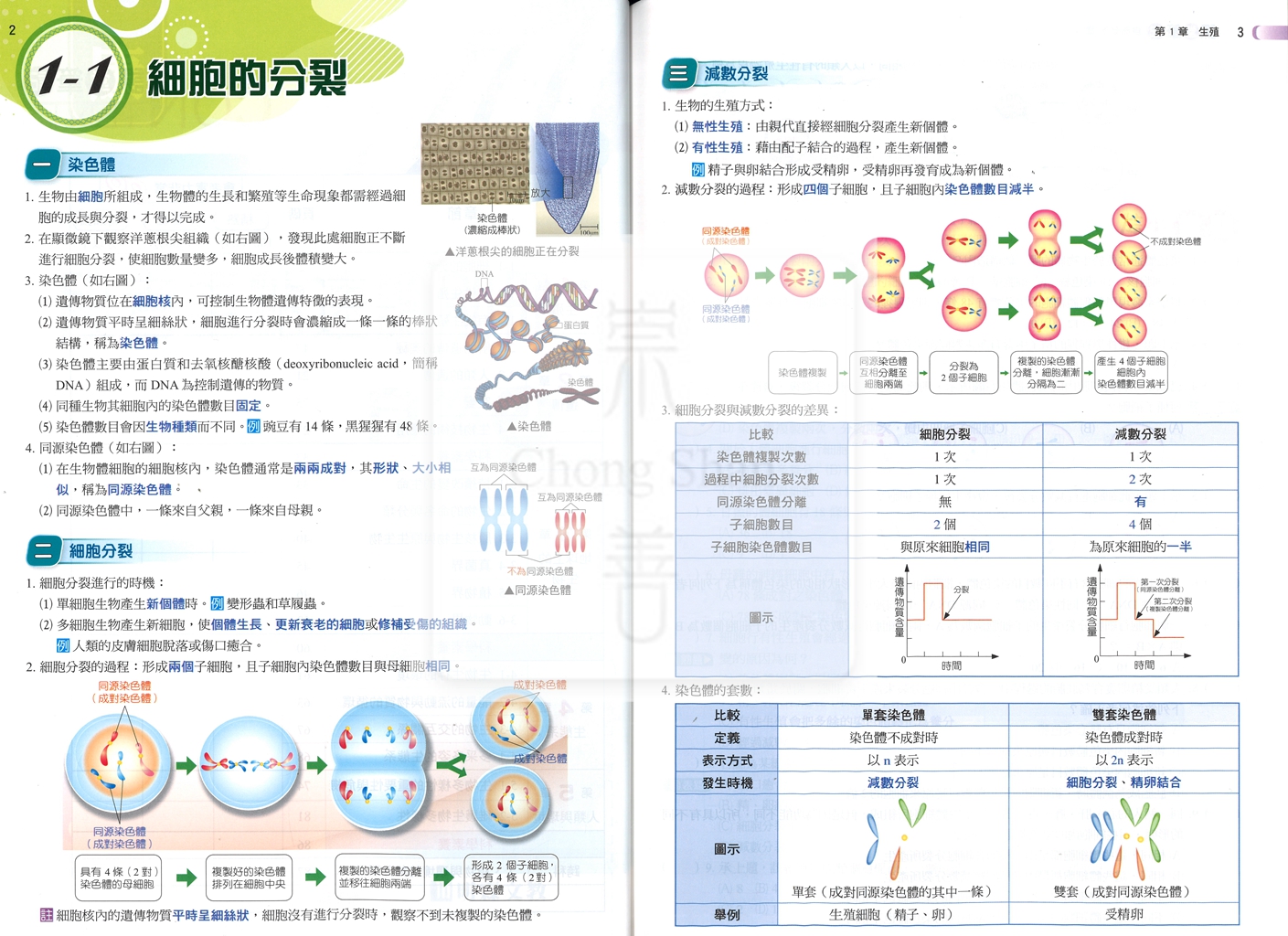 【國中114下】明霖國中 康版課堂筆記 自然2